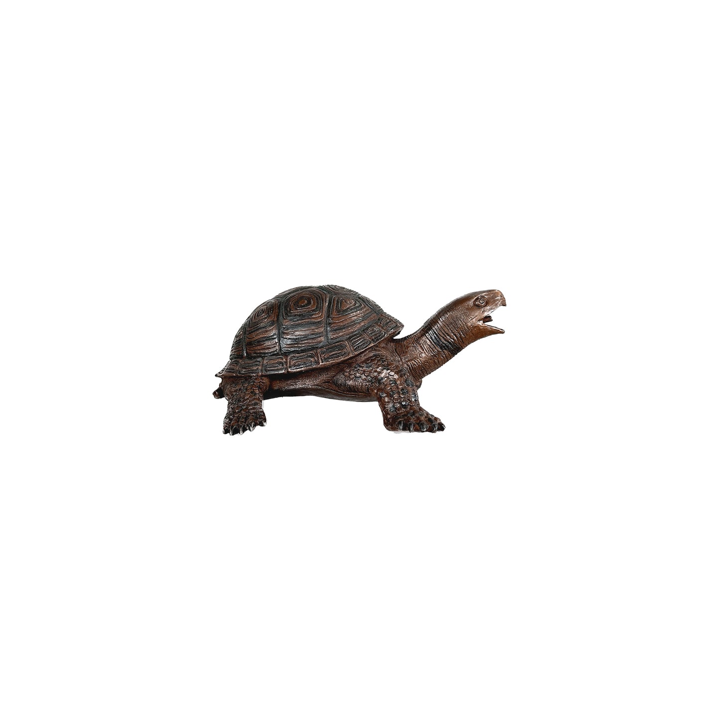 Box Turtle Fountain Bronze Statue