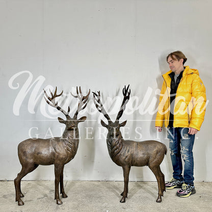 Medium Elk Bronze Statue Set