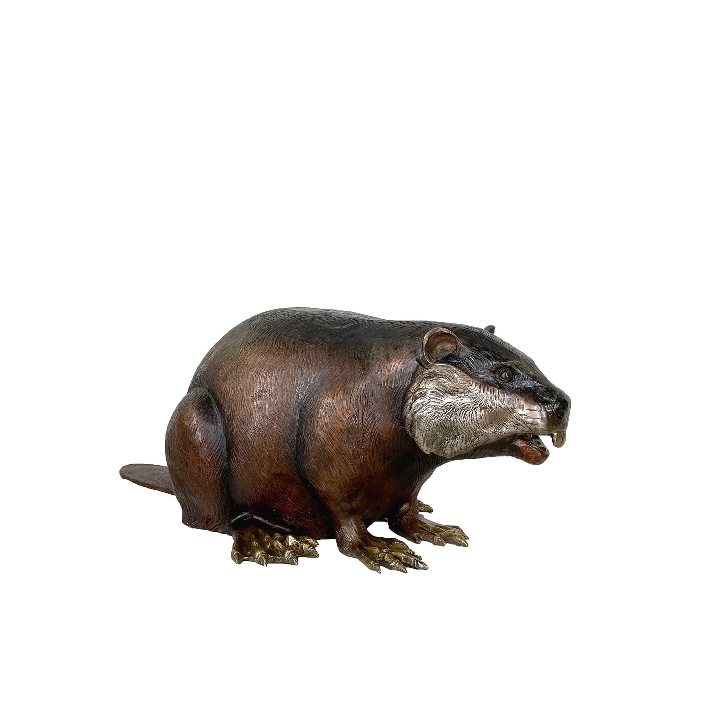 Beaver Bronze Statue