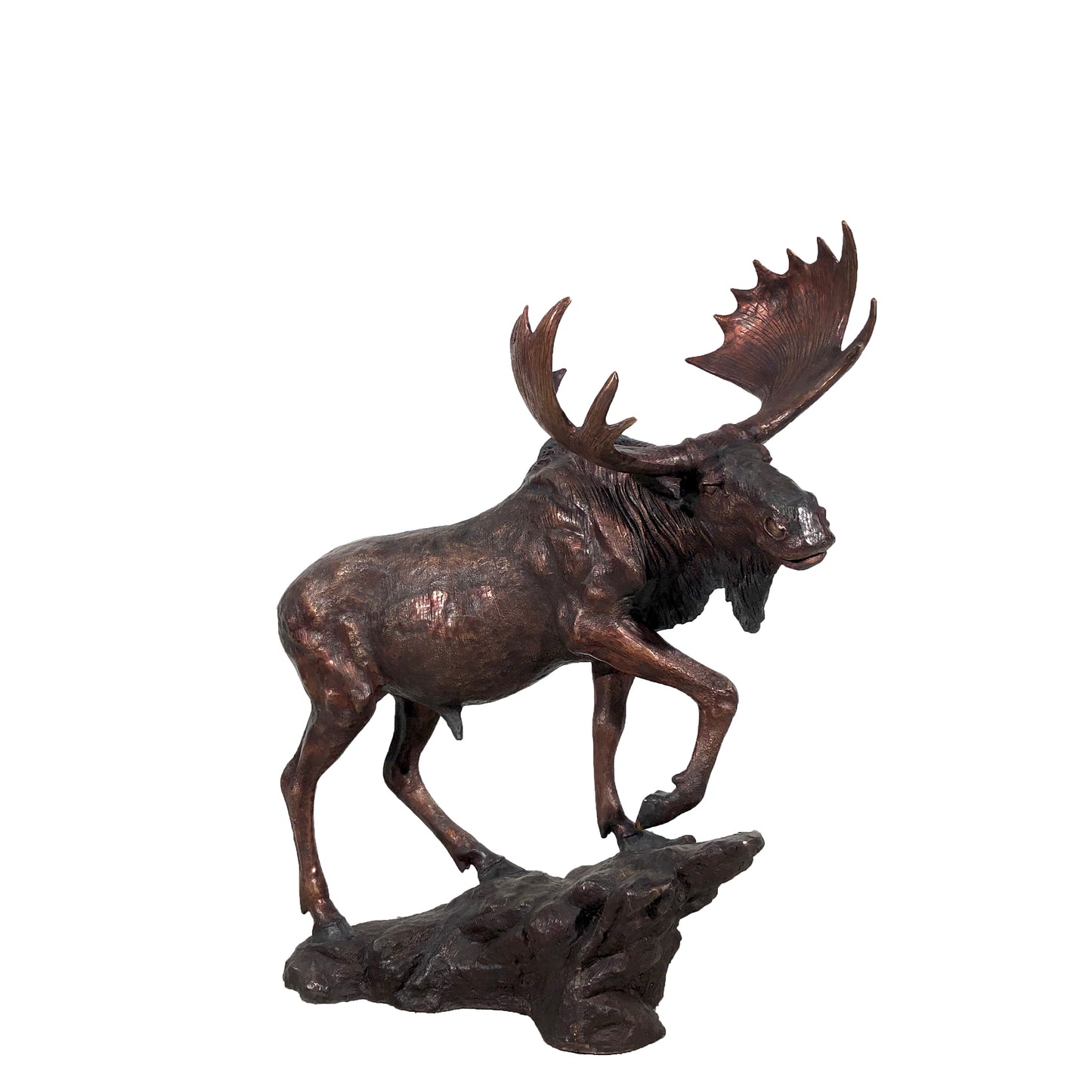 Moose on Rock Bronze Statue