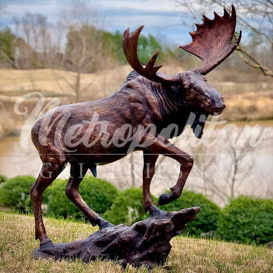 Moose on Rock Bronze Statue